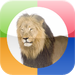 Learning Games for Kids - Photo Touch Zoo